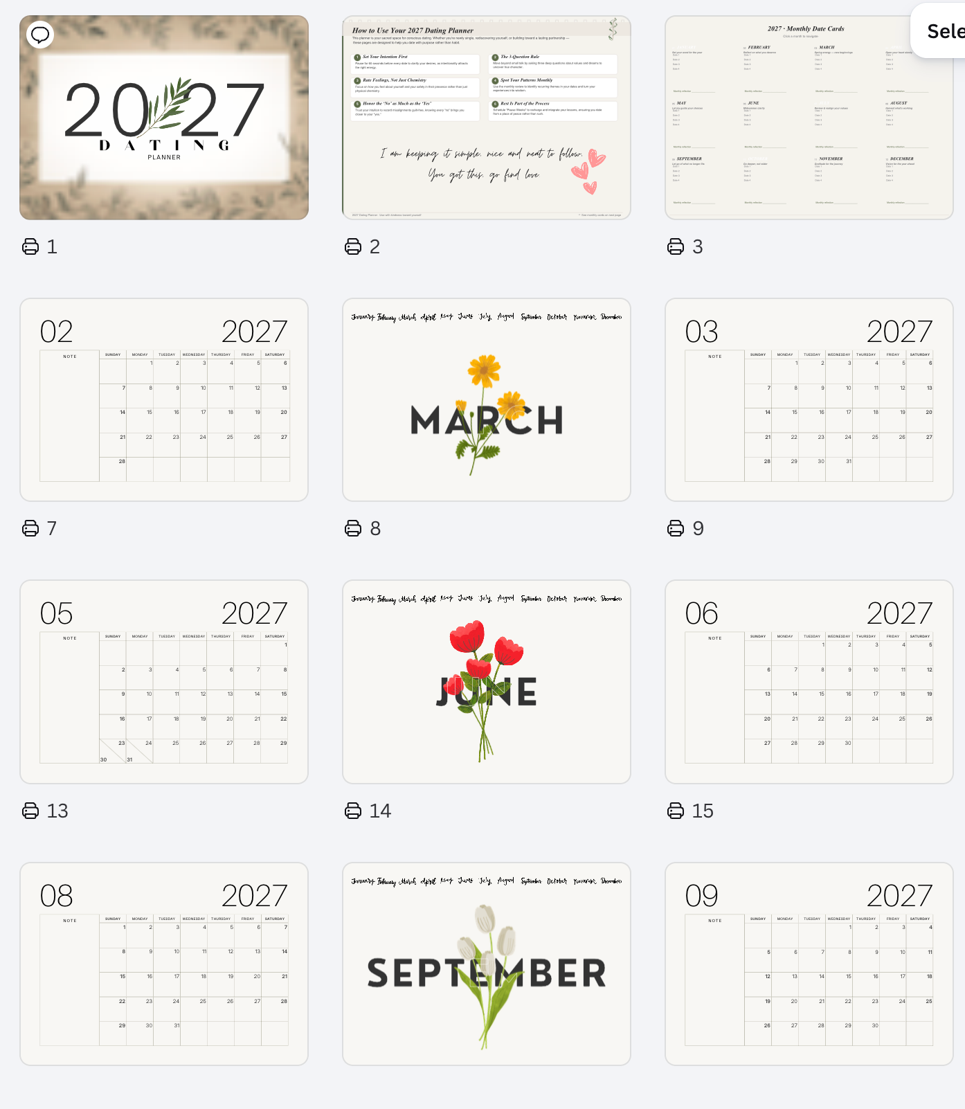The Dating Planner - For the Girlies
